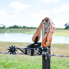 Aj Tack Men s Black Steel Reining Horse Spurs And Straps