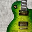 Custom Lp Green Big Flower Electric Guitar Rosewood Fretboard Hh Pickups