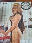 Playboy Playmate Puzzle Complete Miss August 1967 Dede Lind Centerfold