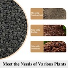 Yiszm Black Horticultural Lava Rocks For Plants  2 Pounds  Rock 
