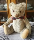 Charming  Vintage  11  German White Mohair Steiff Teddy  With Growler 1940 s