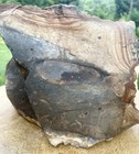 10 9 Lb Blue Biggs Picture Jasper  Lapidary Rough From Biggs  Oregon