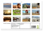 Animals In Landscapes  monthly Wall Calendar 2026 11 7 X 16 5  open    Calvendo 