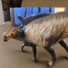 Pnso Shantungosaurus Model Animal Figure Adult   Dinosaur  Gift