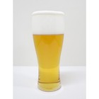 Japanese Fake Food Beer Tumbler Highly Realistic Replica Display Decoration Jp
