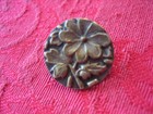 Vintage 5 8  Brass Metal Picture Button - Flower  Plant Life - D7