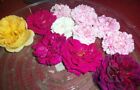 Wedding Supplies Party Supplies Confetti Dried Rose Petals Strewing Herbs