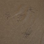 Signed-paramore 2007 Kfma Fall Ball T-shirt 4 Signatures  With Hayley Williams