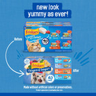 Ocean Of Delight Gravy Variety Pack  Wet Cat Food  5 5 Oz Cans  40 Pack