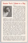 Tribute To The Dog  old Drum  By Sen  George Vest Regarding Dog Loyalty Postcard