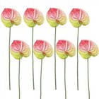 8 Pcs 23-5 8 Inch Artificial Anthurium Flowers Real Touch Fake Pink Green
