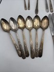 Vintage Wm  Rogers Oneida Silver Plate Wild Rose  21 Pieces  Flatware