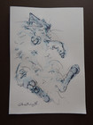 Original Expressive Hand Drawn Pen   Ink Wash Drawing Sketch Of A Cat Sleeping