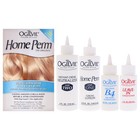Ogilvie Salon Styles Home Perm The Original For Normal Hair - 1 Application