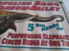 Ringling Bros   Barnum   Bailey Circus Poster Ad Elephant 24  X 16  P-155 Used
