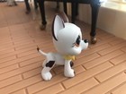 Authentic Littlest Pet Shop Lps  750 Great Dane White Brown Teardrop Brown Eyes 