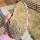 Large Natural Amethyst Crystal Geode Druzy Cluster Polished Freeform 2lb 4oz 6 5