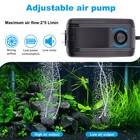Aquarium Air Pump Adjustable Fish Tank Pump With Dual Outlet Air Stones   Tubes