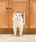 New Petsafe Interior 2-way Locking Cat Flap Door Small Dog Up To 12lb Enter Exit