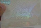 Secure W  Web   Earth Id Card Hologram Overlays For Teslin pvc - 100 Pack