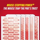 Extra Sticky Insect   Mouse Traps 60-ct  5 3 x8  Glue Boards For Mice   Insects 
