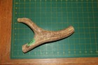 Xxlarge Upper Elk Antler Dog Chew  55   Bone Chews Deer Elk Treats Deer 222