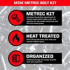 Pit Posse Motorcycle Atv Sport Bike Mini Metric Tempered Bolt Kit 53 Pc