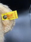 Vintage Steiff Petsy Teddy Bear 35cm 0205 35 Caramel Plush Germany