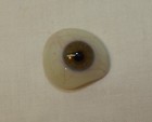 Vintage Antique Human Prosthetic Eye Artificial Eyeball Glass Old Lot B