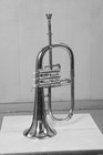 Flugelhorn Nickel Finish Bb Pitch With Hard Case And Mouthpiece