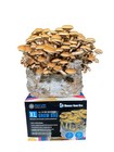 Myco Labs 6lb All-in-one Manure-loving Mushroom Grow Bag   Spore Germination Jar