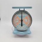 Vintage American Family Nursery Baby Scale Blue Metal Works Tested