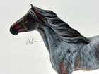 Cm Ooak Custom Model Horse Like Breyer Peter Stone    hurricane    1 9 Traditional 