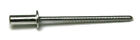 Pop Rivets All Stainless Closed End - 6-6  3 16  X  0 251 - 0 375 Grip  Qty-100