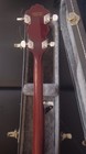Fender Fb-54 5 String Banjo With Tkl Hard Case 