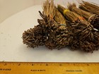 Long Leaf Pine Needles From Floida 1 Lb 