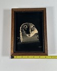 Vtg Droguett Scratch Board Art Cat Mouse Kitten Hide And Seek 70   s Hole Signed