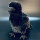Jianeexsq Realistic Crow Plush  Cute Black Raven Stuffed 9 Inches  