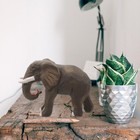 Wooden Elephant Statue Hand Carved  6 Inches Unique Art Carving Sculpture Fen   