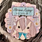 Poteusa Loppy Teddy     Authentic Amuse Japan 42cm Bunny Pote Usa Kawaii
