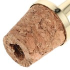 Wine Bottle Pourer Accessories Oil Stopper Spout Toppers Bitter Bottles