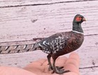 Antique Austrian Vienna Cold Painted Bronze Figure Of Large Pheasant Bird