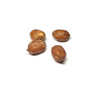 Beer Nuts Original Peanuts Sweet   Salty Bar Nuts  12oz Resealable Can