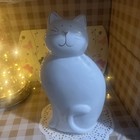 Cat 75103 Kitty Ceramic Statue 10    X 5    White Gold Accent Figurine great Gift