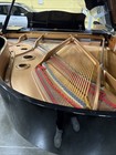 Yamaha C3 2011 Grand Piano Outlet