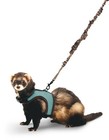 Kaytee Comfort Harness   Strechy Leash For Rats   Small Animals Assorted Colors