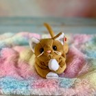      Nip The Gold Cat        Ty Beanie Baby Kitty   Birthday March 6