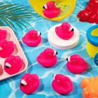 Flamingo Rubber Duckies For Kids  12pcs Pink Duck Bath Small 