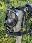 Leaders Leather pp Combo Driving Harness For Medium To Large Pony