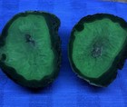 Pair Of Texas Agates Unfinished Faces Uv  Black Light Reactivequartz Center